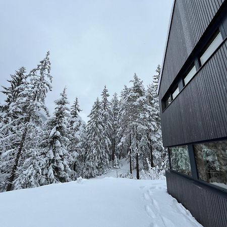 Chalet Dachstein 람자우 암 다흐스타인 외부 사진