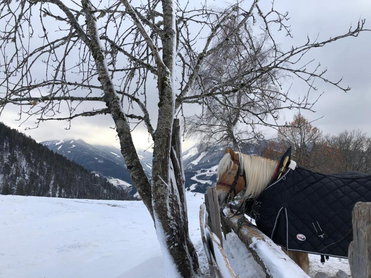 Chalet Dachstein 람자우 암 다흐스타인 외부 사진