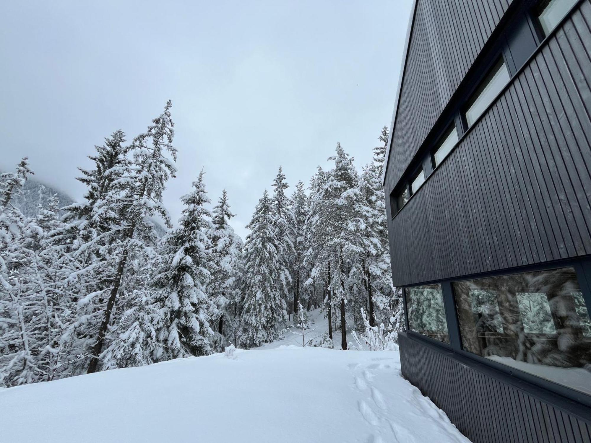 Chalet Dachstein 람자우 암 다흐스타인 외부 사진